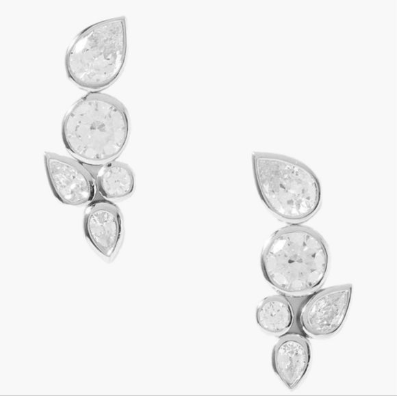 Nwt Non Tarnish Earrings Silver - Picture 1 of 5